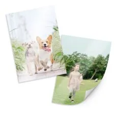 소문난 상품 사진 인화  8