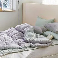 알레르망 특_가