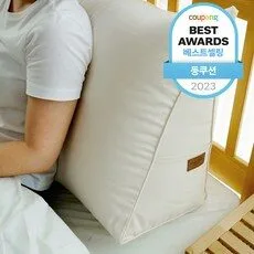 오늘 등받이 쿠션 제품 TOP 8