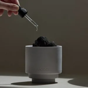 테일러센츠디퓨저 가성비특가