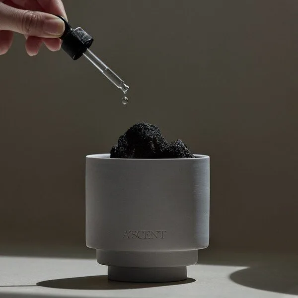 테일러센츠디퓨저 가성비특가