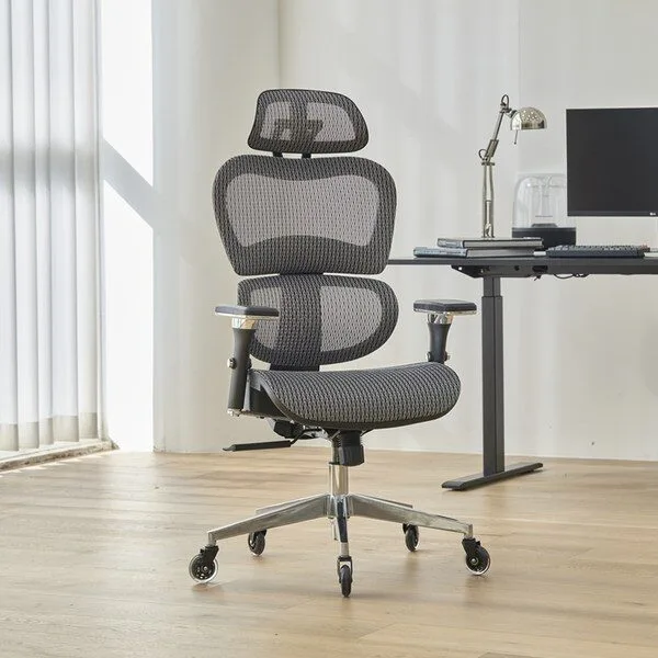 세일정보 에르고휴먼h2 추천 랭킹 8