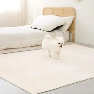 더프리그 인기 꿀템