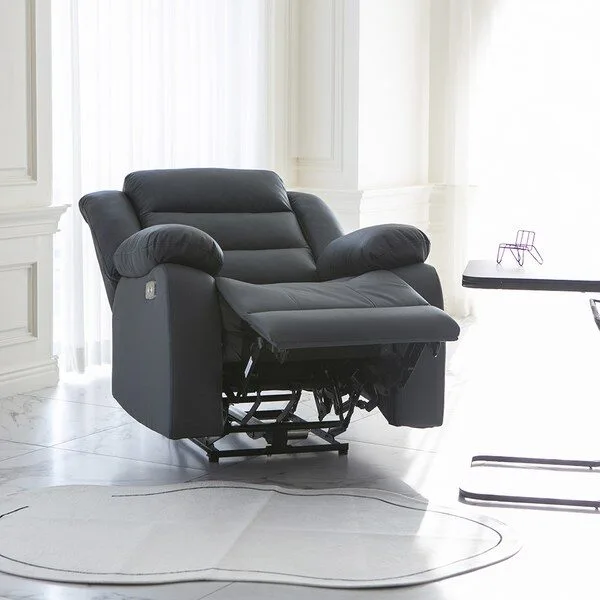  로티에 가죽 1인용 전동 리클라이너 소파, 파나 