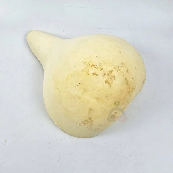 박바가지 대박할인