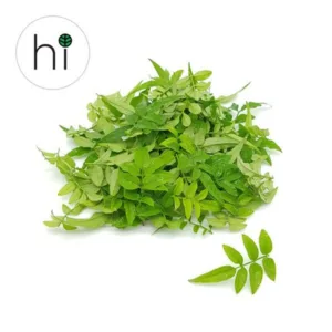 시몬스자스민 초특가세일