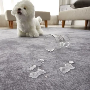 거실카펫 특별할인 꿀템